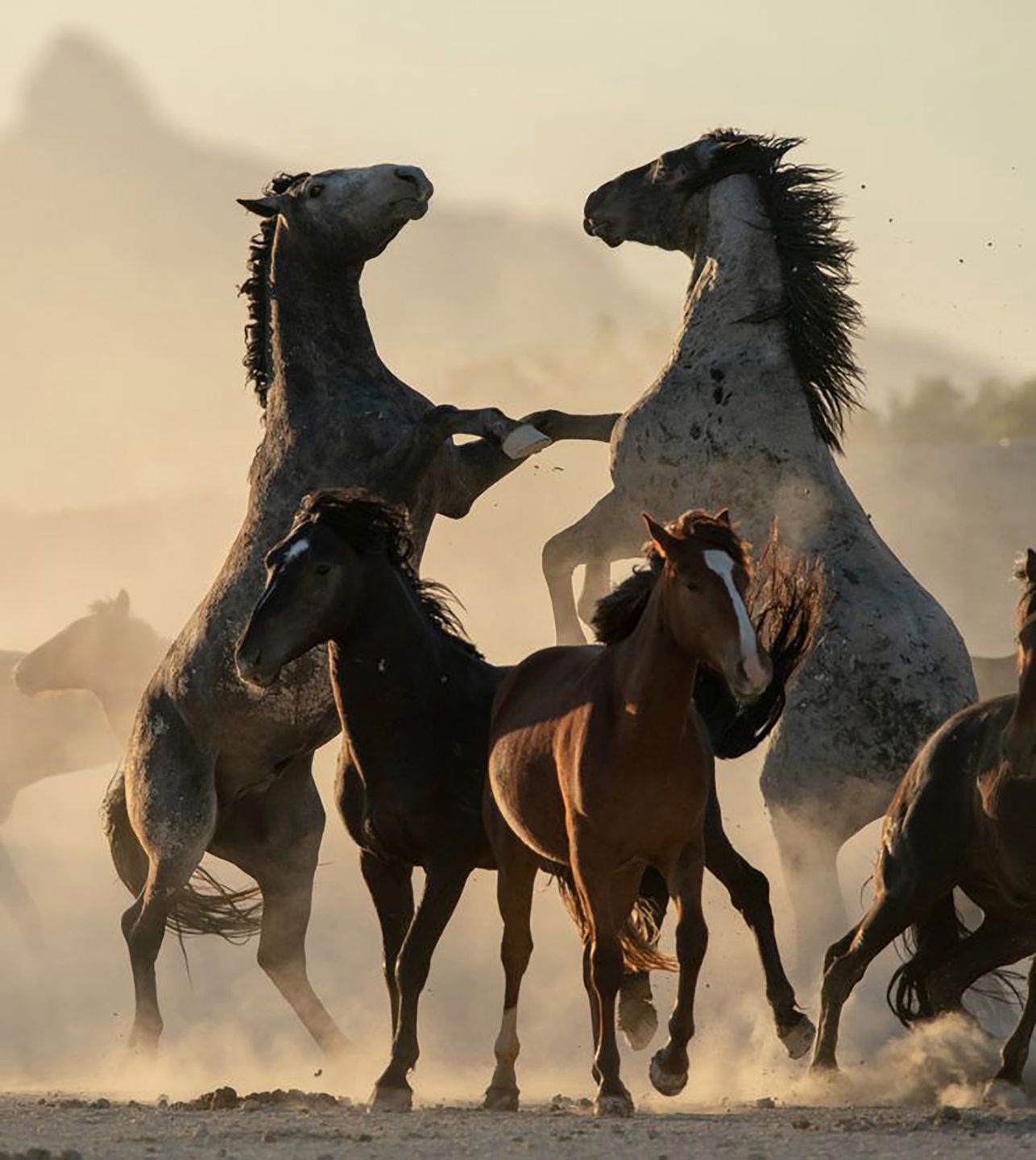 Wybrano najlepsze zdjęcia podróżnicze minionego roku. Oto zwycięzcy Travel Photographer of the Year 2019 10