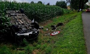 Dachowanie w polu kukurydzy. Za kierownicą 84-latka