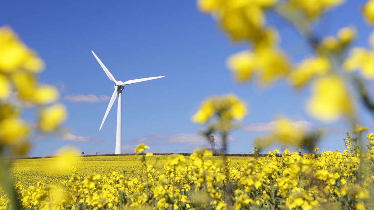 Krzyżówka o zielonej energii