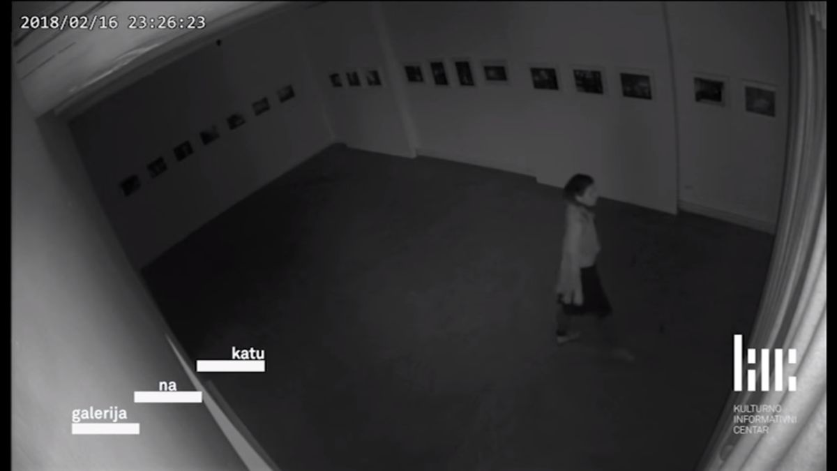 Zamiast zgłosić złodziejkę na policję, chcą by zorganizowała wystawę fotograficzną 1