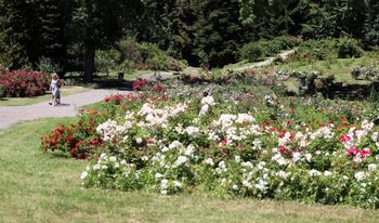Lublin: Wielkie Święto Botaniki w Ogrodzie Botanicznym UMCS