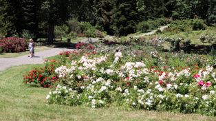 Lublin: Wielkie Święto Botaniki w Ogrodzie Botanicznym UMCS
