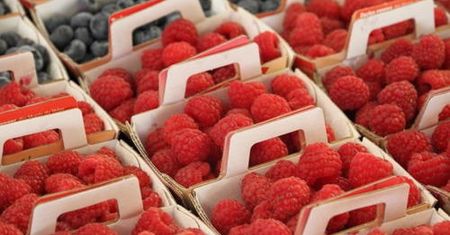 Ceny malin biją rekordy. Podwyżka o kilkaset procent