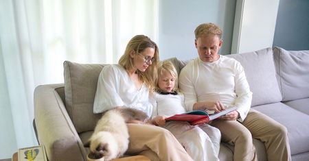 Nowe spojrzenie na domową przestrzeń. HUGS wprowadza meble dla zwierząt w duchu quiet design