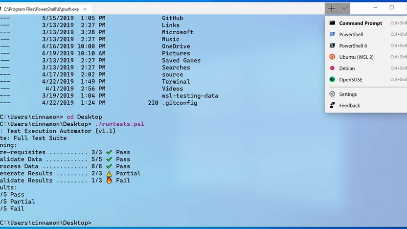 Windows Terminal 5