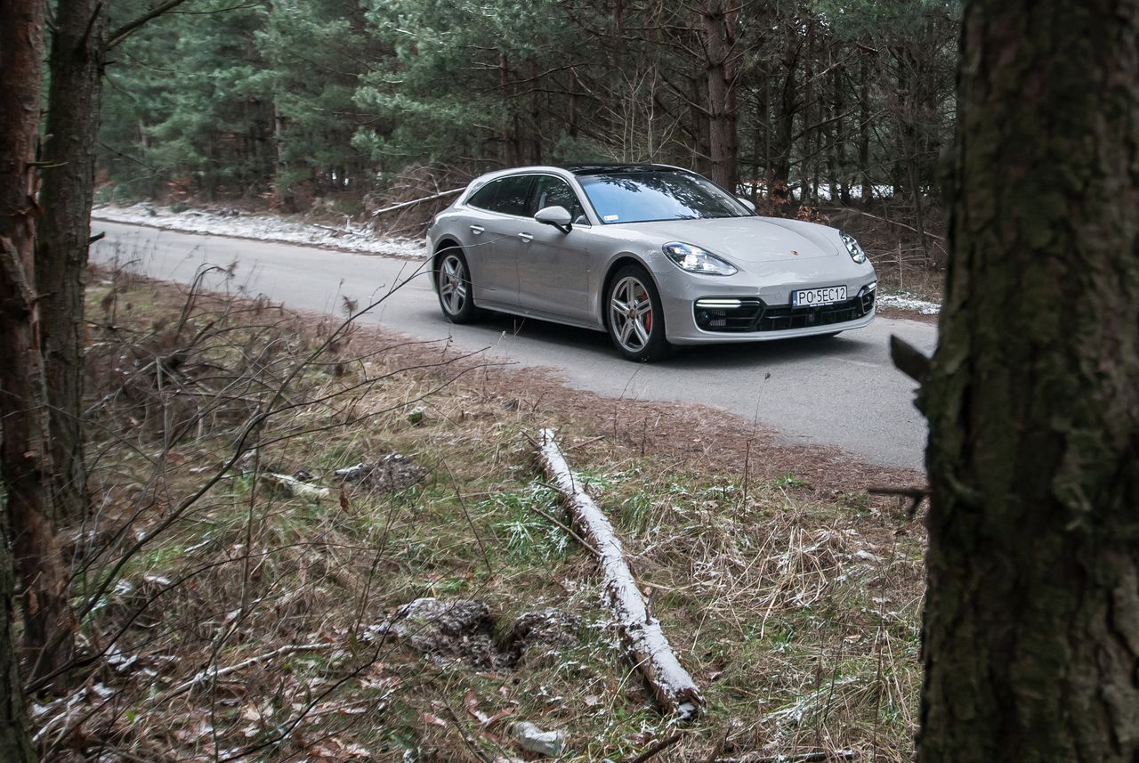 Porsche Panamera Turbo Sport Turismo w kolorze Crayon nie jest częstym widokiem na drodze. A szkoda!