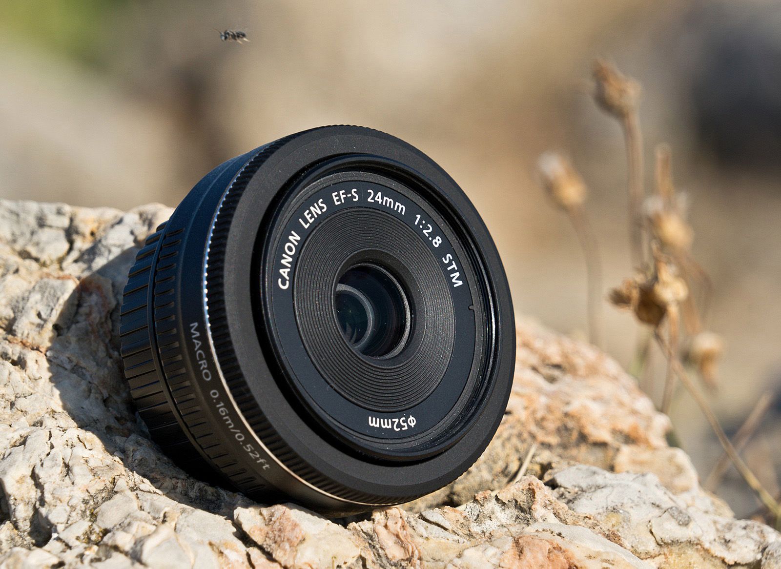 Canon EF-S 24 mm f/2,8 STM  - słodki naleśnik [test] 1