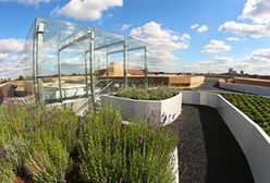 Warszawa. Kopernik nadal zamknięty. Ale zaprasza na spacery po ogrodzie i tajnikach nauki