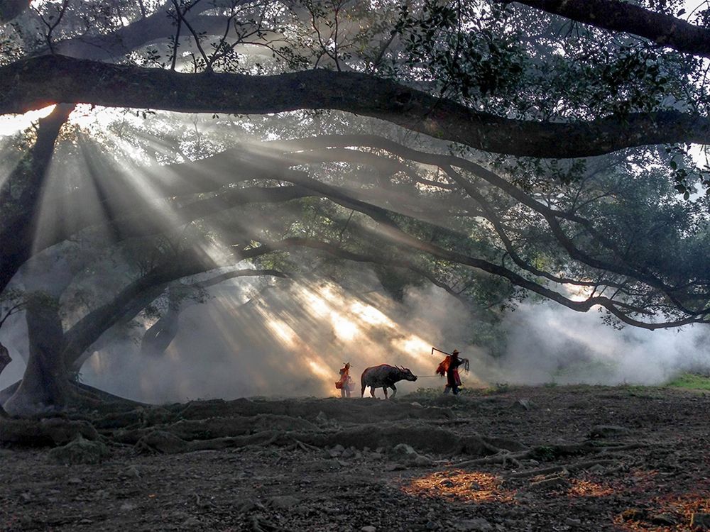 Polak fotografem roku na iPhone Photography Awards 2016 22