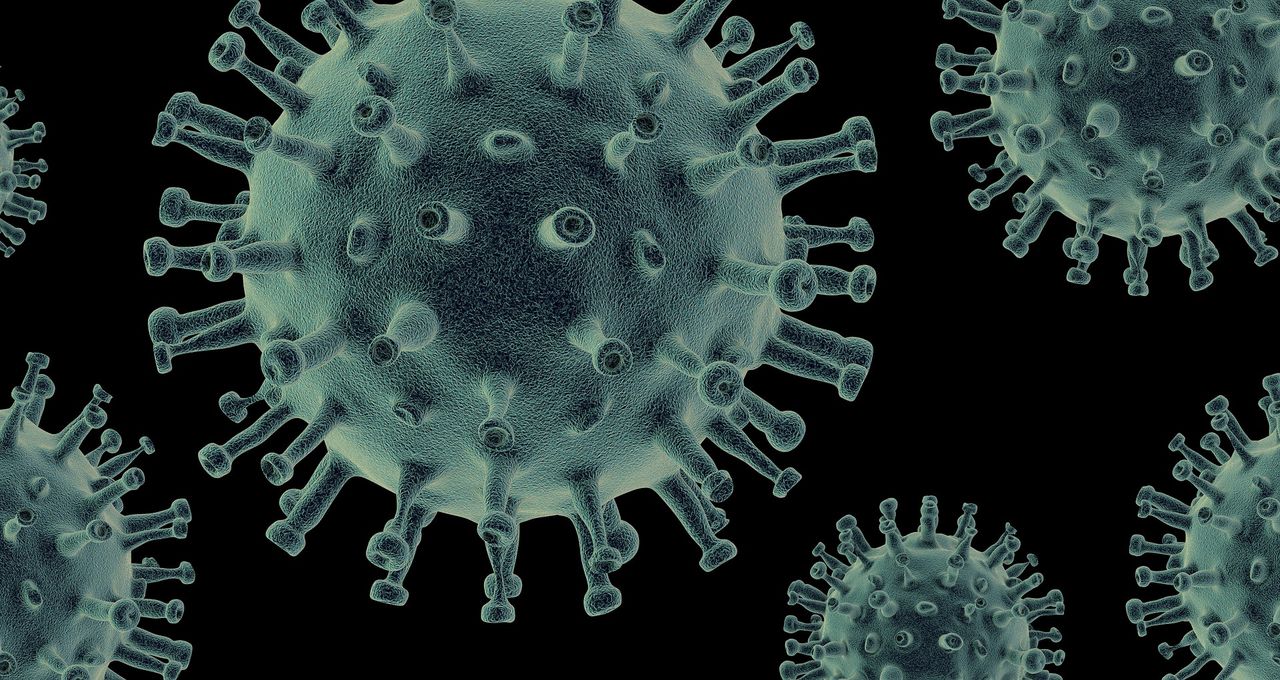 Naukowcy znaleźli nowe wirusy. Są podobne do SARS-CoV-2