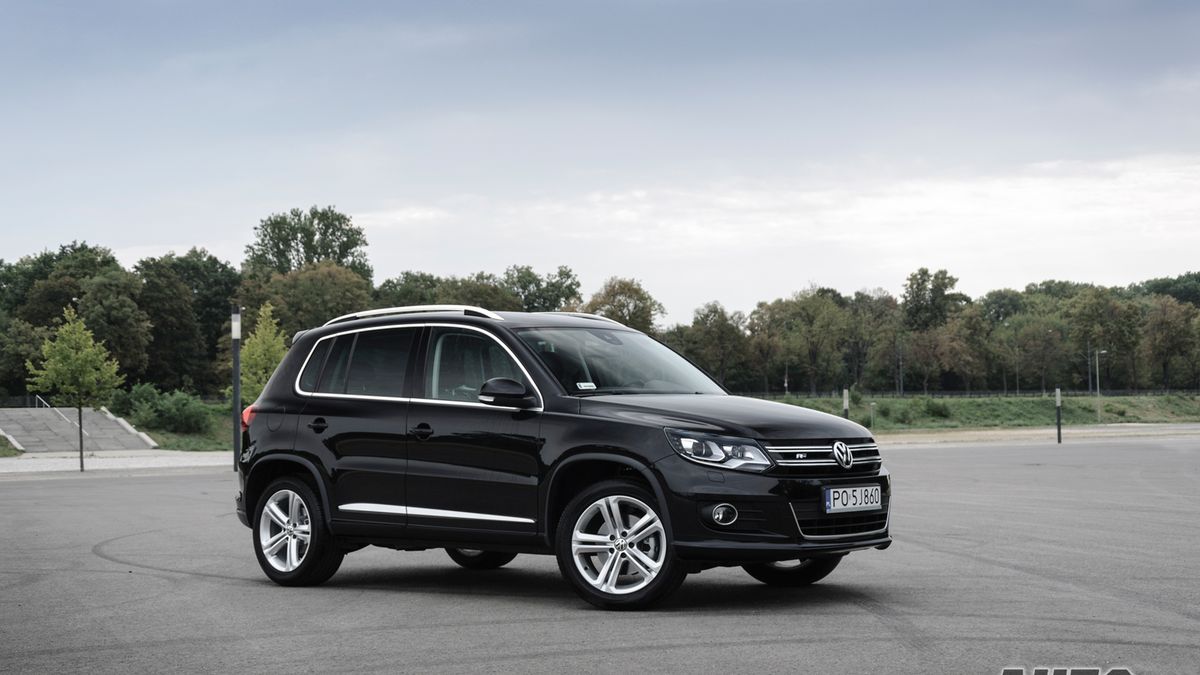 Zdjęcie ilustracyjne do artykułu