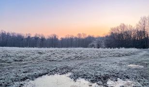 Wrocław. Pogoda. 3 grudnia - czwartek ze śniegiem. Od piątku ocieplenie