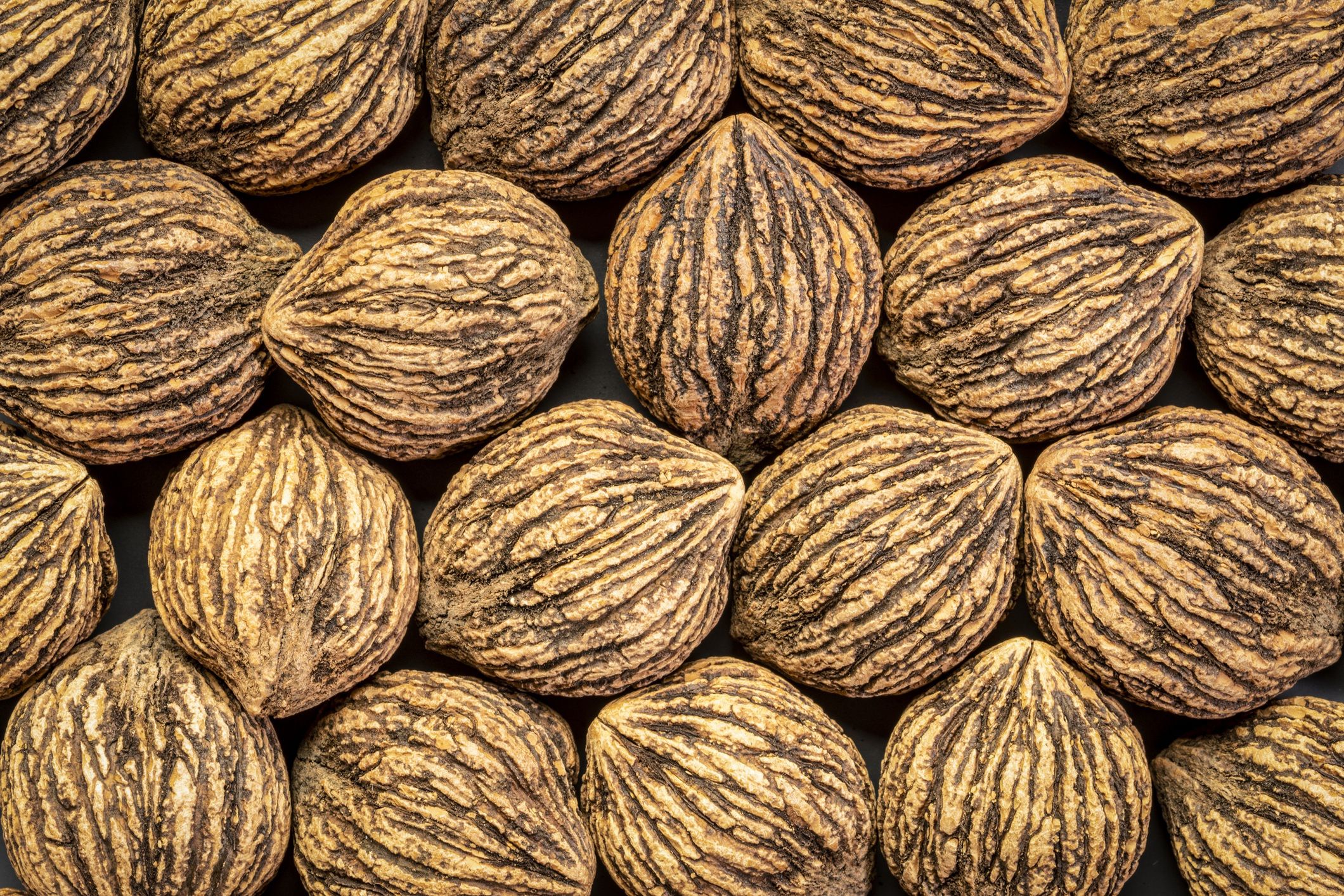Orzech czarny (Juglans nigra)
