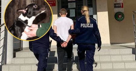 Nagranie pokazało, co zrobił z psem. 18-latkowi grozi 5 lat więzienia