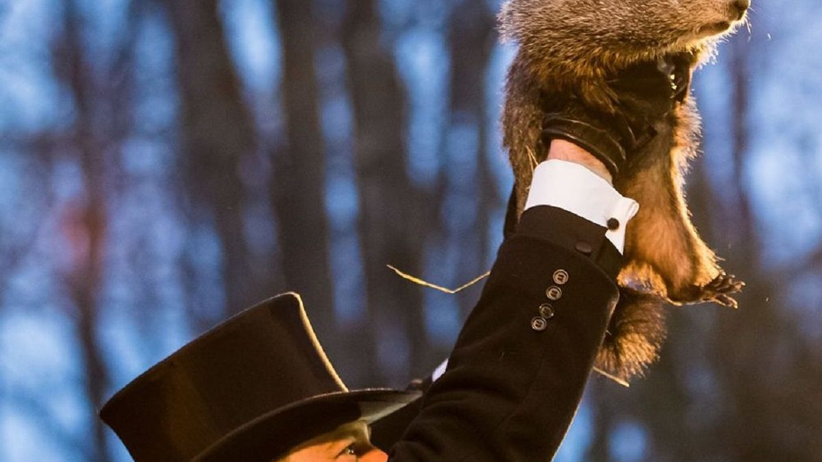 Tym razem świstak Phil nie zobaczył swojego cienia