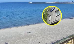 Brutalny atak nad Bałtykiem. Oprawców było aż siedmiu