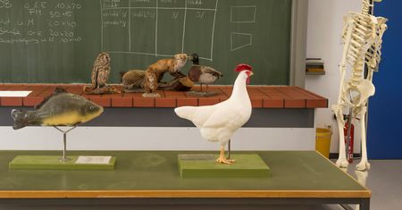 Sprawdzian z biologii. To trzeba pamiętać ze szkoły!