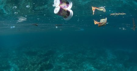 Plastikowe jednorazówki będą zakazane. Unia Europejska zdecydowała