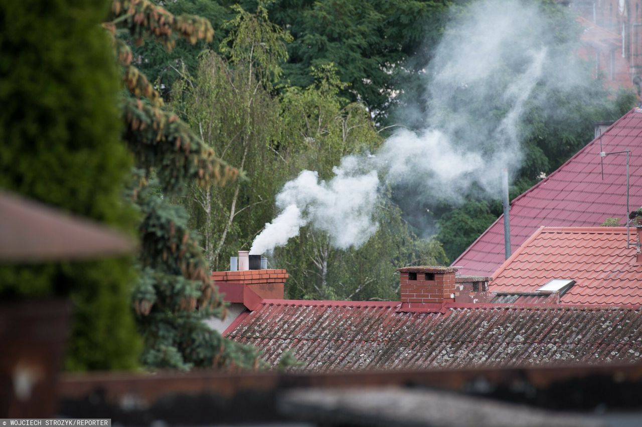 Astma, niższe IQ i nowotwory. Smog niszczy zdrowie naszych dzieci, a tej zimy może być naprawdę źle