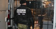 Śląskie. Pogranicznicy zatrzymali nielegalnych migrantów