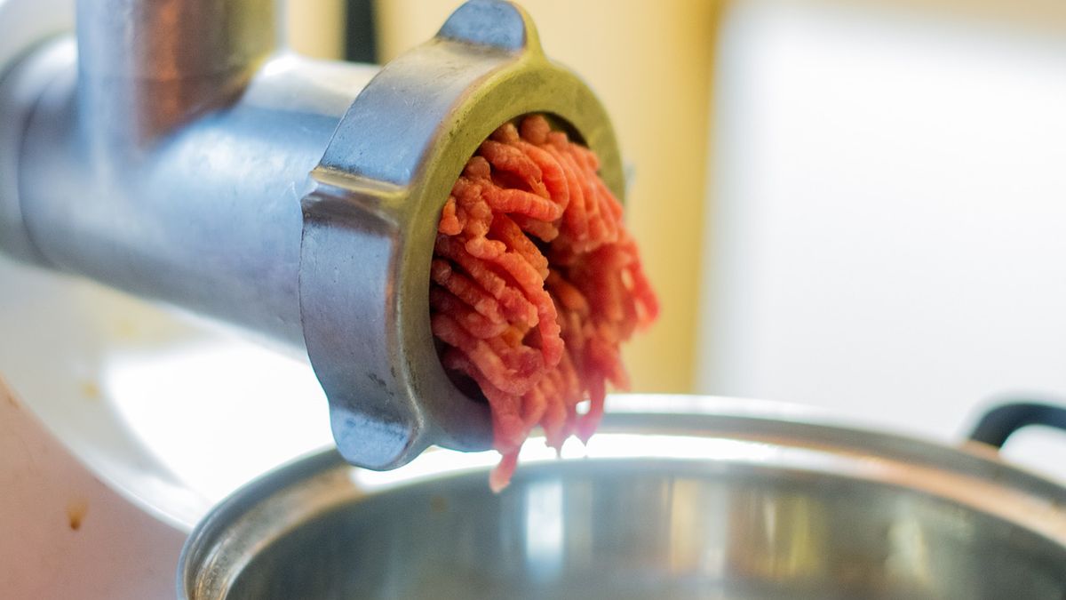 Mięso mielone z jelenia