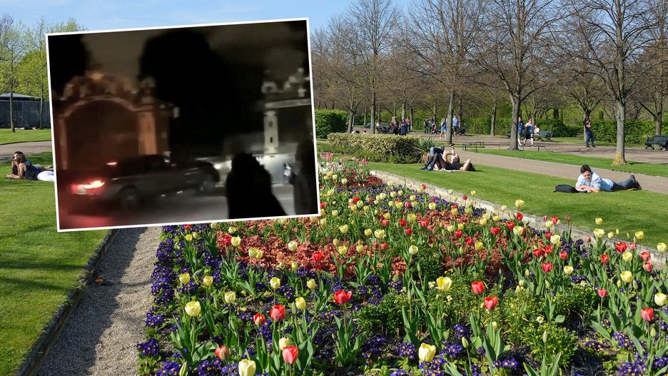 W Regent's Park odbył się nielegalny wyścig 