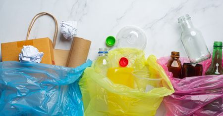 Mięso i ryby wyrzucasz źle. Błędy Polaków w segregacji śmieci