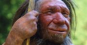 Człowiek neandertalski i człowiek rozumny. Odkryj świat pradawnych ludzi