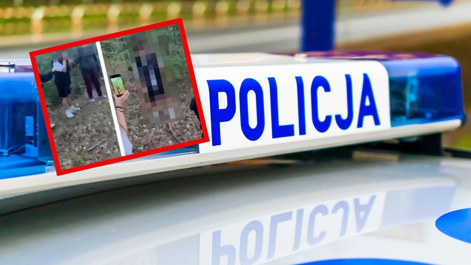 Lincz na młodym człowieku w lesie