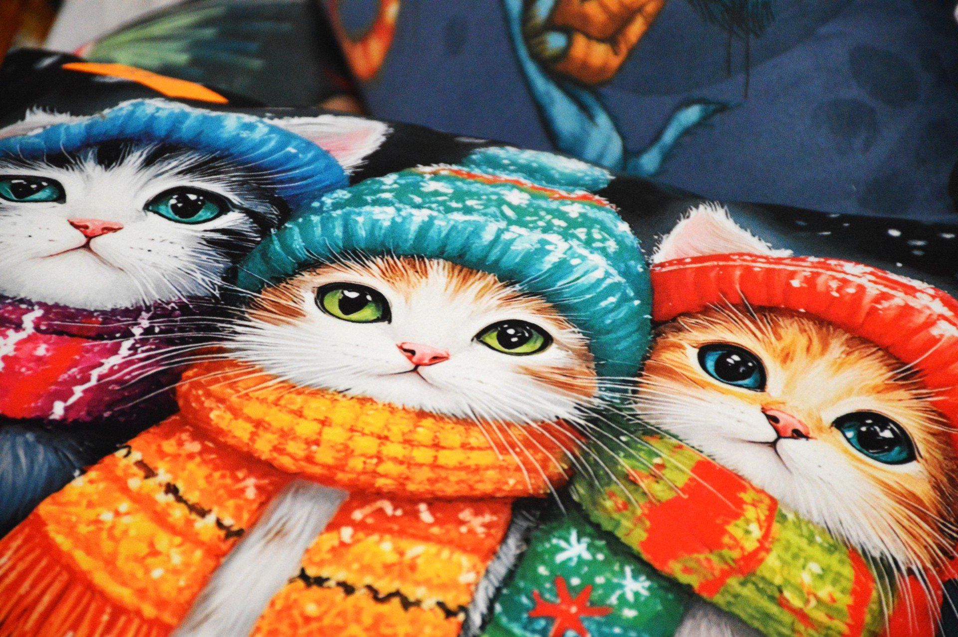 Zimowy kiermasz charytatywny Stowarzyszenia Mruczychata odbył się w Sieradzu