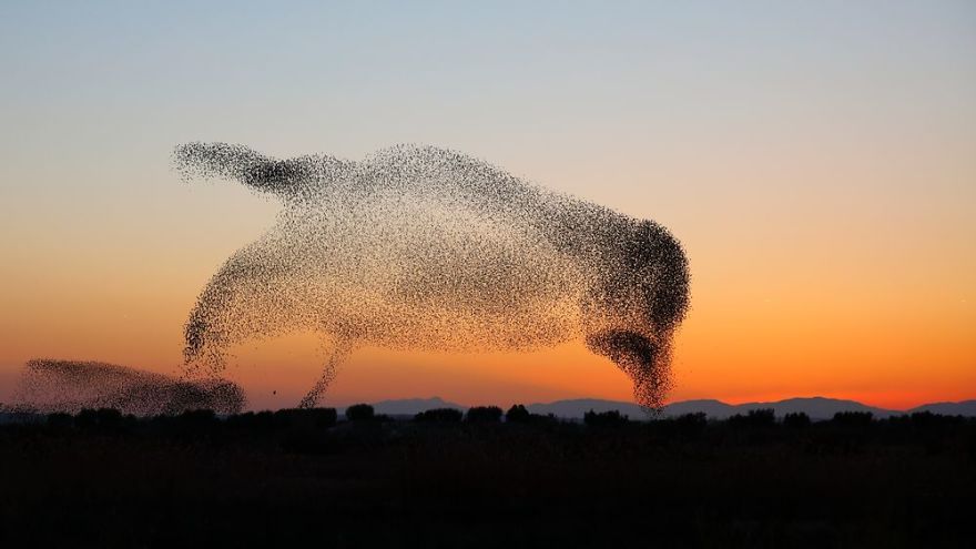 Fotograf zrobił niesamowite zdjęcia - nie zdawał sobie z tego sprawy, dopóki nie zobaczył ich w domu 3