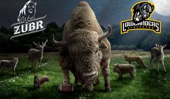 Żubr sponsorem Lowlanders Białystok