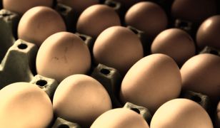 Salmonella w jajach z popularnej sieci. Sprawdź, czy nie masz w domu