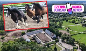 80 koni. Otwarto Stajnię Akademicką Politechniki Bydgoskiej