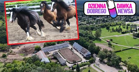 80 koni. Otwarto Stajnię Akademicką Politechniki Bydgoskiej