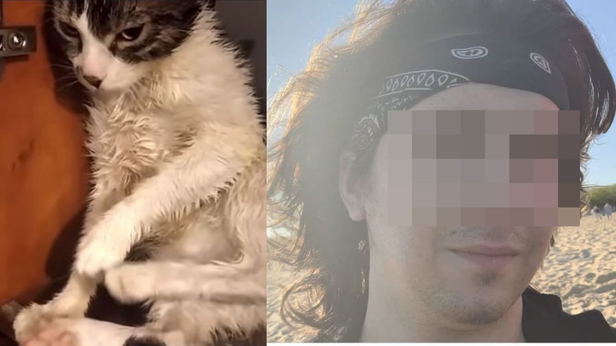 Sadysta, który znęcał się nad kotem ODNALEZIONY! Sam zgłosił się na policję