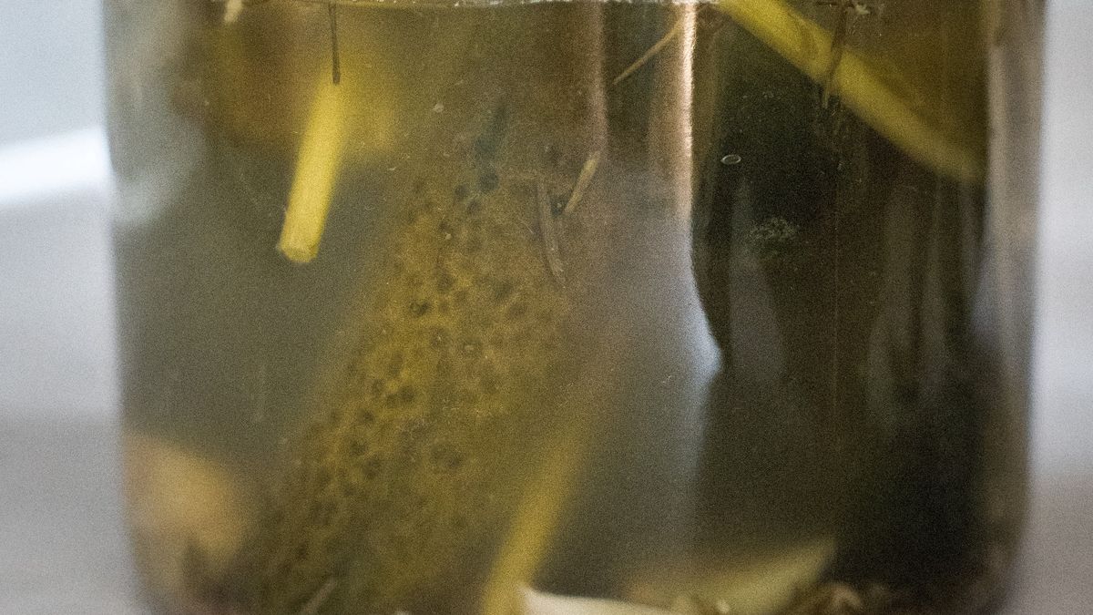 Woda po ogórkach kiszonych nie dla każdego?