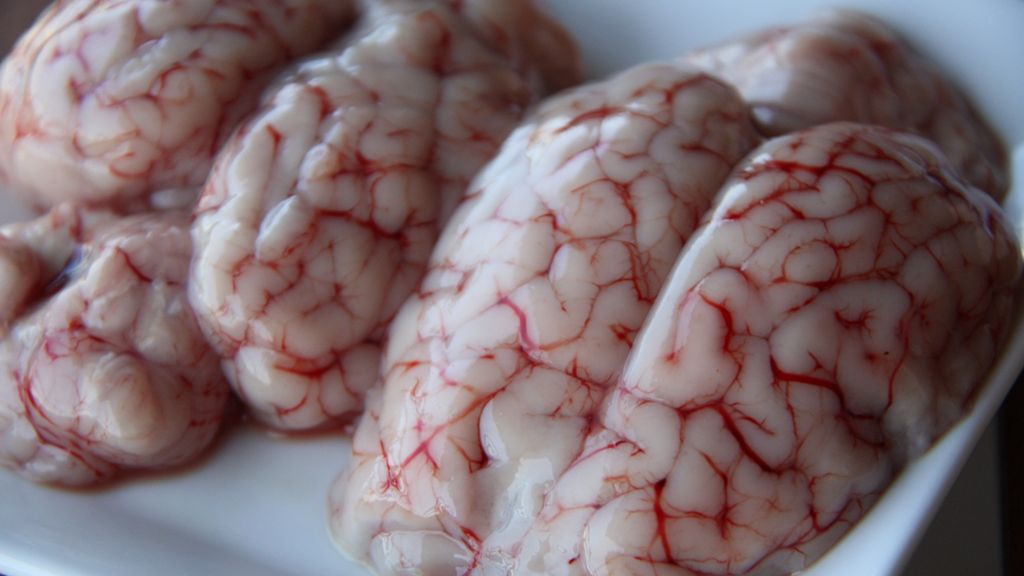 Surowy mózg z jagnięciny nowozelandzkiej