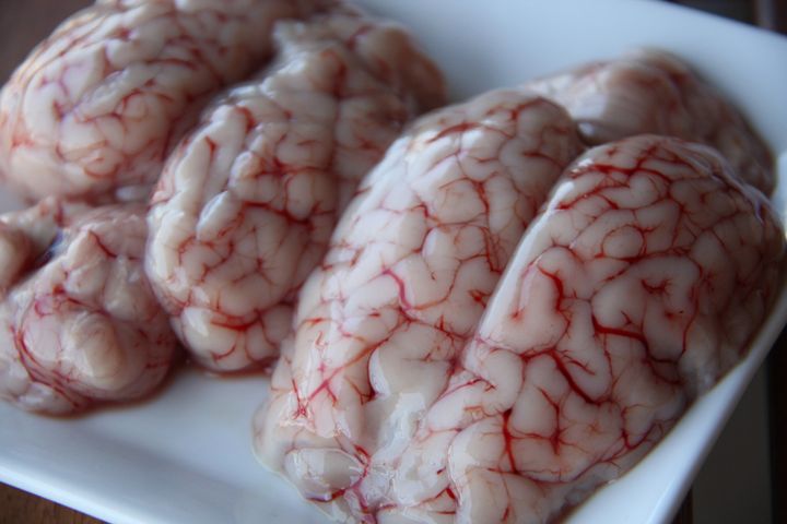 Surowy mózg z jagnięciny nowozelandzkiej