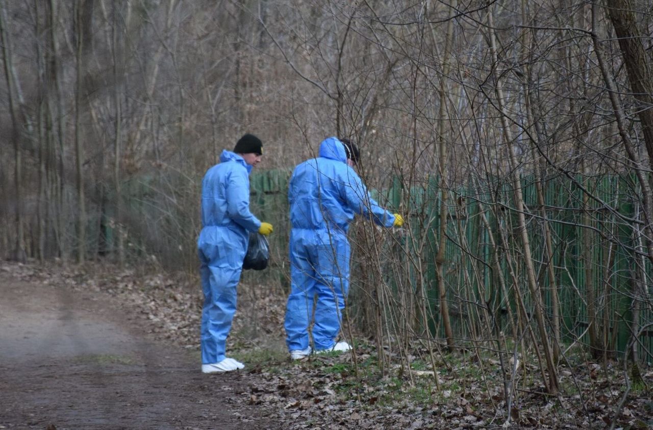 Białystok ma sposób na dziki. Podziała?