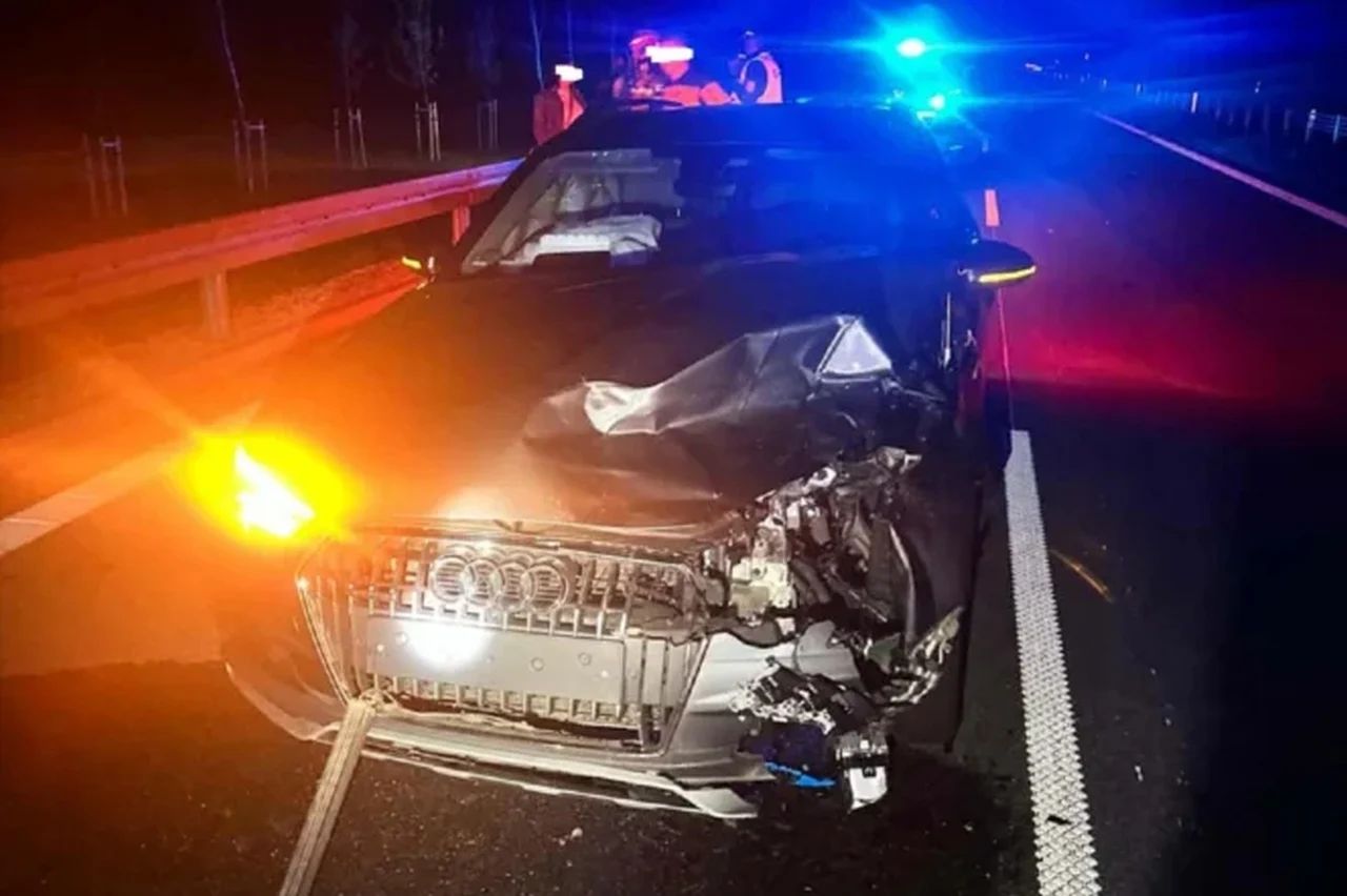 Nocne zderzenie z sarną. Audi poważnie uszkodzone