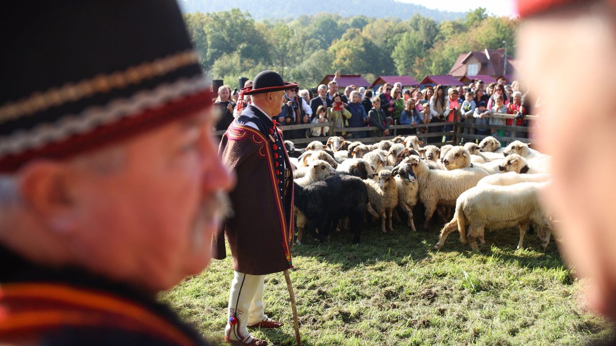 Jesienny redyk w Rychwałdzie odbył się 28 września br. 