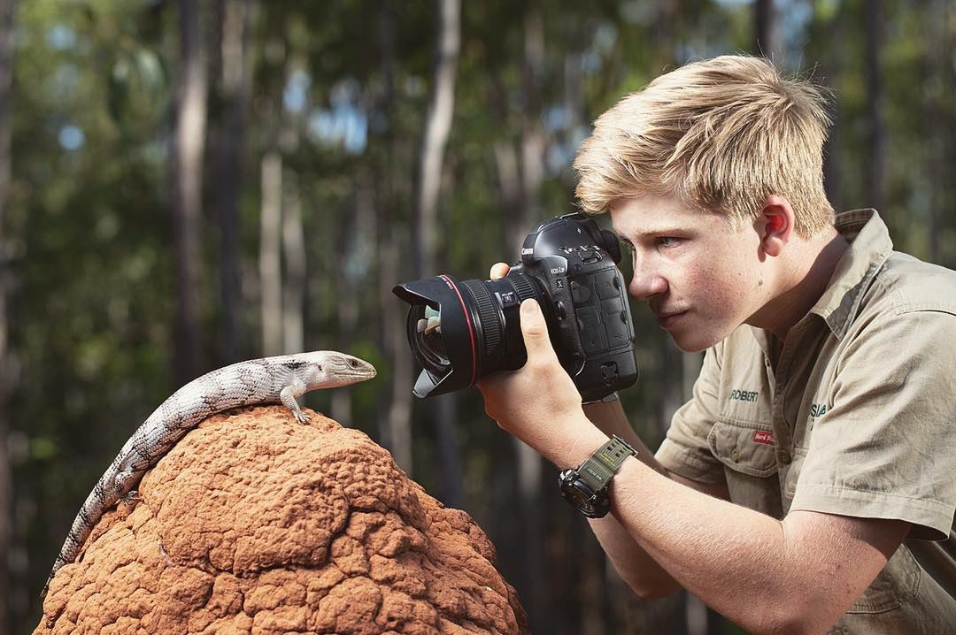 Syn sławnego "Łowcy Krokodyli" został wyróżniony w  Wildlife Photographer of the Year