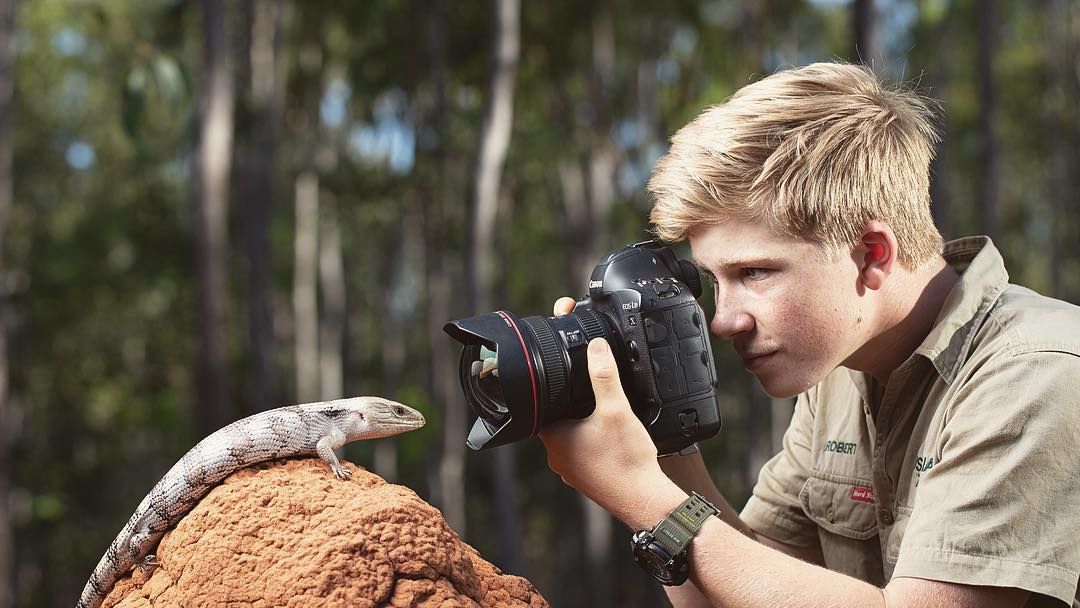 Syn sławnego "Łowcy Krokodyli" został wyróżniony w  Wildlife Photographer of the Year 1