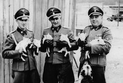 Tam było dużo gorzej niż w Auschwitz. Nie nadążano z paleniem zwłok