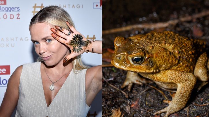 Anna Skura opisuje "fazę" po odurzeniu się JADEM amazońskiej żaby