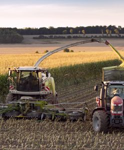 "Grozi za to grzywna 1500 zł". Burmistrz apeluje do rolników