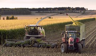 "Grozi za to grzywna 1500 zł". Burmistrz apeluje do rolników