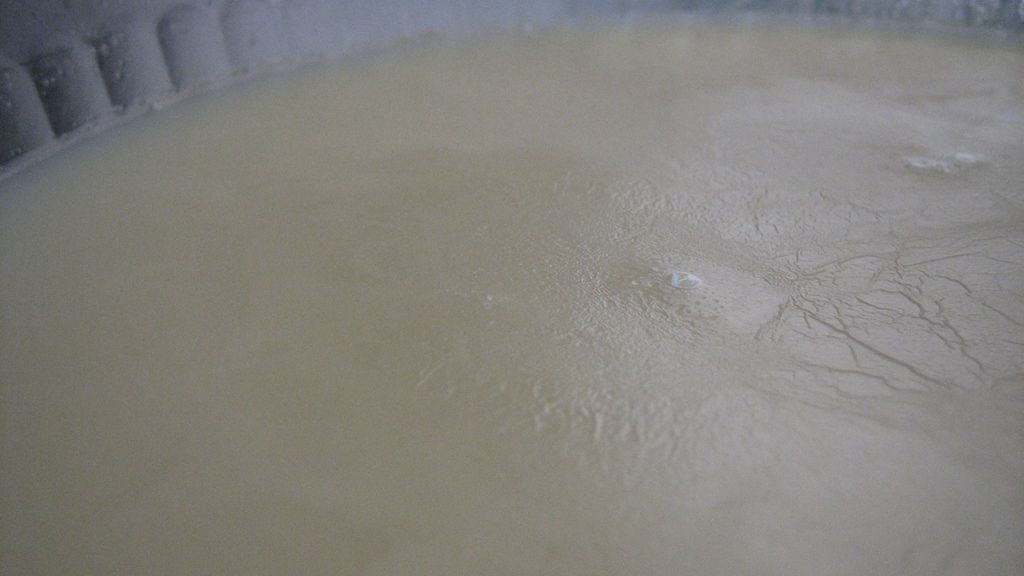 Gotowany tłuszcz podskórny z jagnięciny nowozelandzkiej