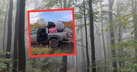 Leśnicy wywieźli pełne auto. Nie kryją złości. "Sprawa na policji"